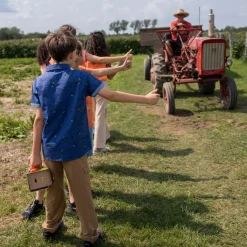 Tops><noscript><img width=