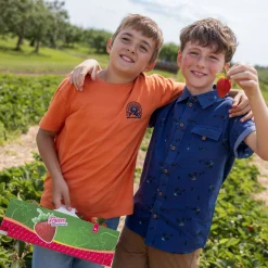 Tops><noscript><img width=