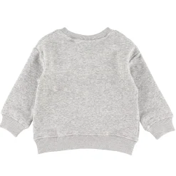 Clearance Old Quebec Crewneck 12-24m BOY Fleeces And Sweatshirts|Tops