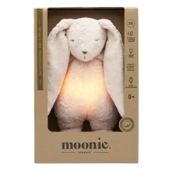 Decorative Objects><noscript><img width=