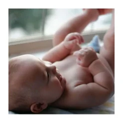 Towels & Wipes|Towels & Wipes><noscript><img width=