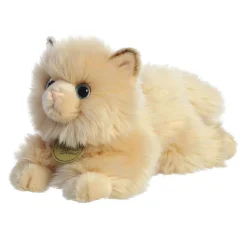 Best Persian Cat 8.5
