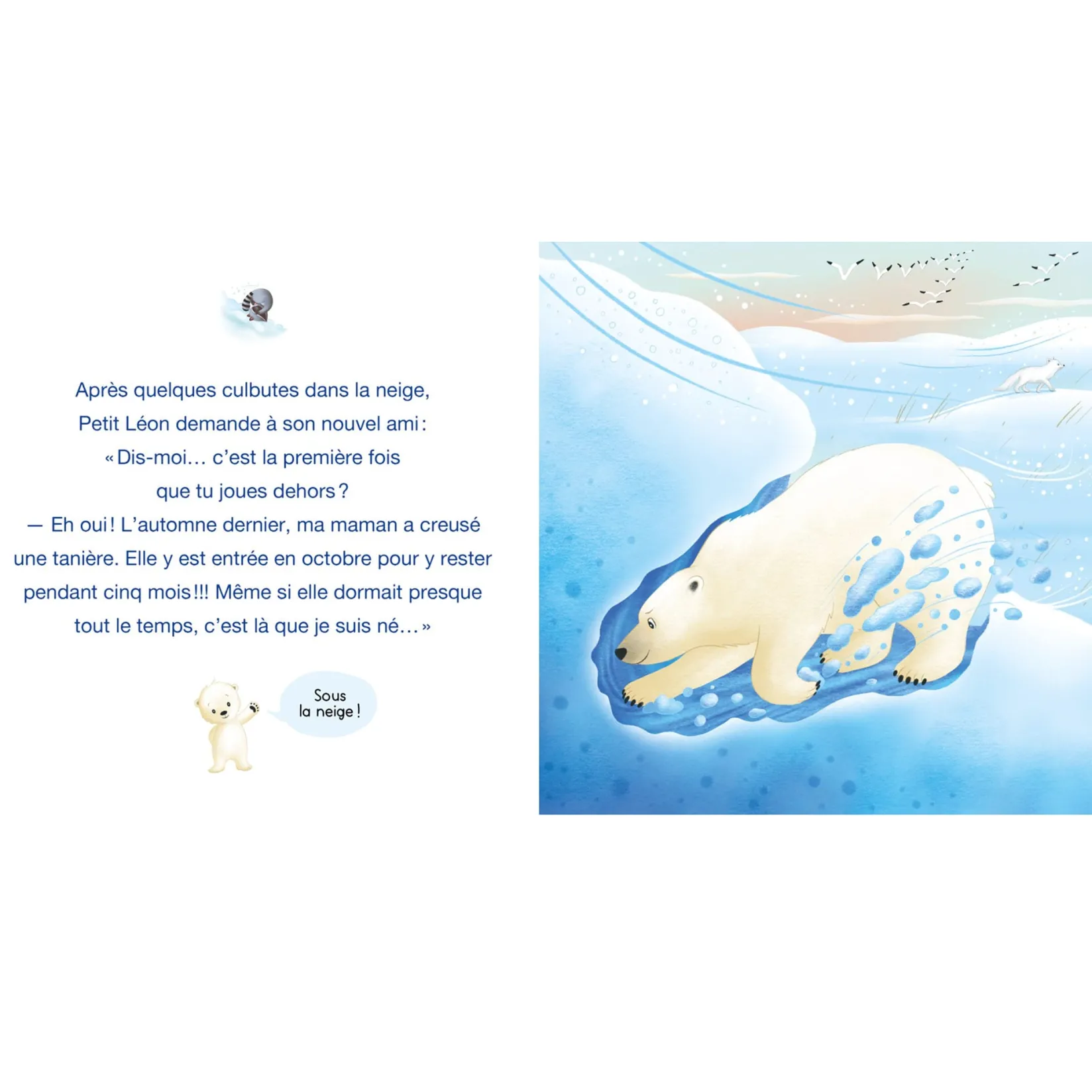 Discount Petit Léon et l'ourson polaire Baby 0-2 Years|2 Years And Over