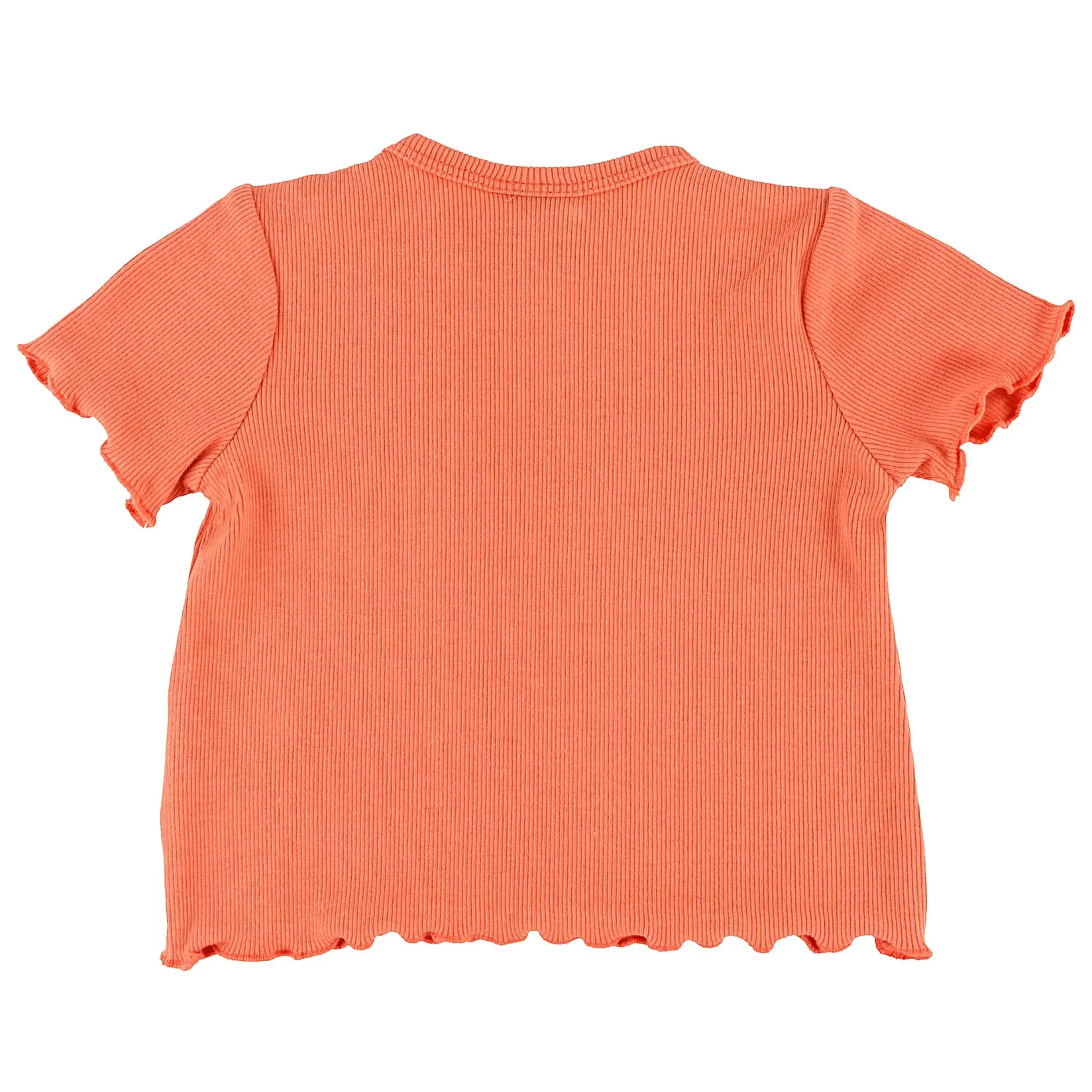 Tops>Chat Botte Picnic T-shirt 3-24m Coral