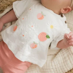 Tops><noscript><img width=