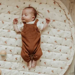 Developmental Toys|Play Mat><noscript><img width=