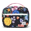 Hot Pop Quiz Lunchbox - Garden Kids Lunch Boxes