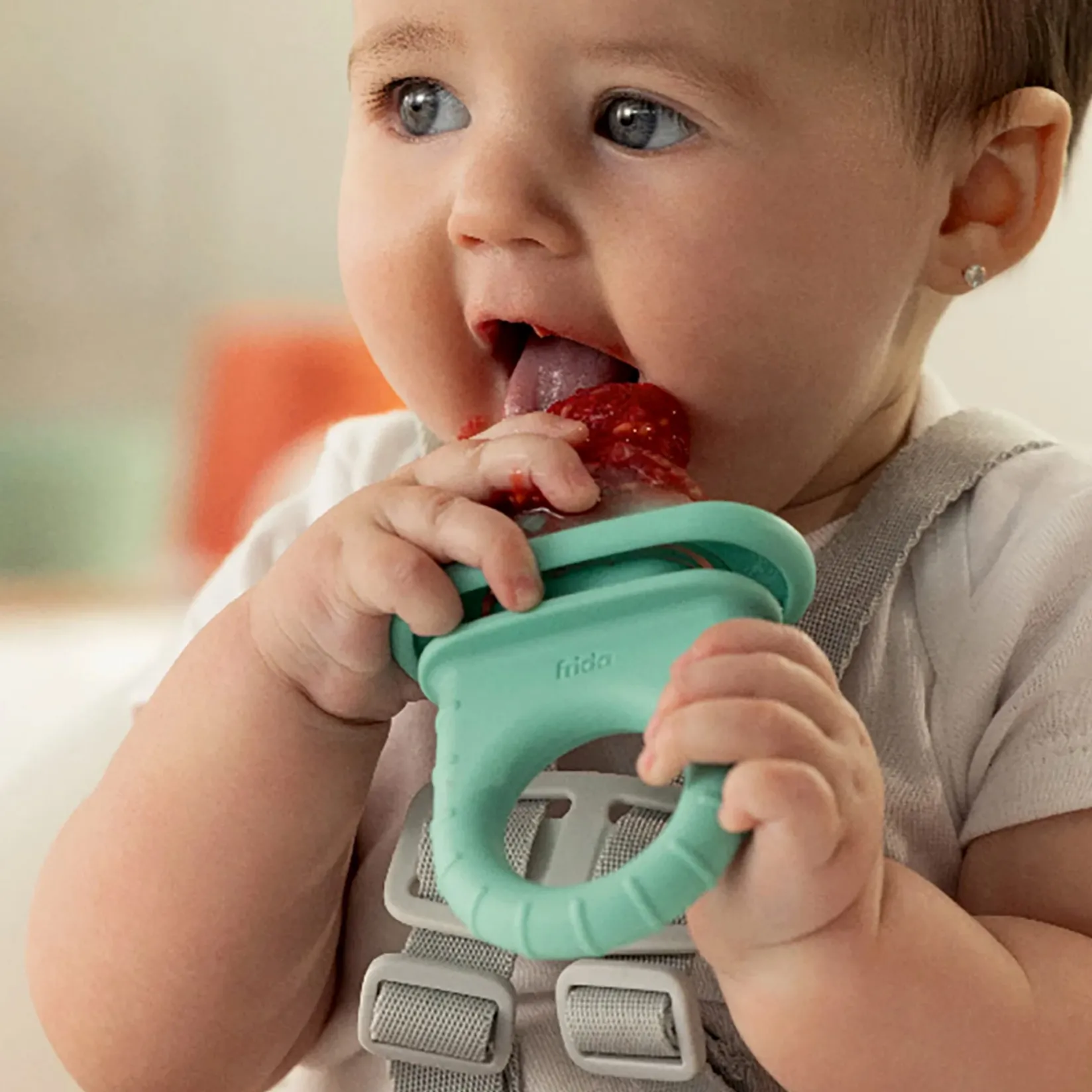 Cleaning & Food Preparation|Food Preparation>Fridababy Push Pop feeder