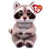 Plush Toys>TY Raccoon Petey