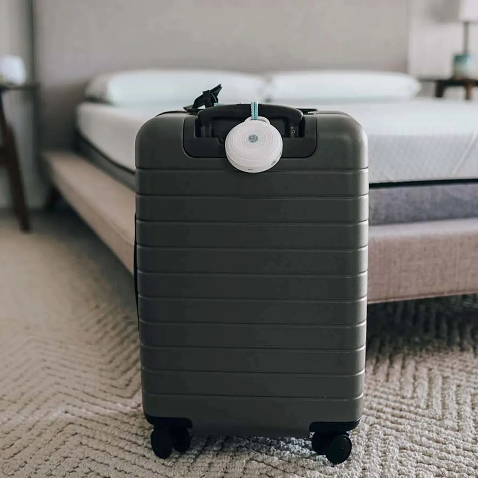 Rohm® Travel Sound Machine Gates & Safety