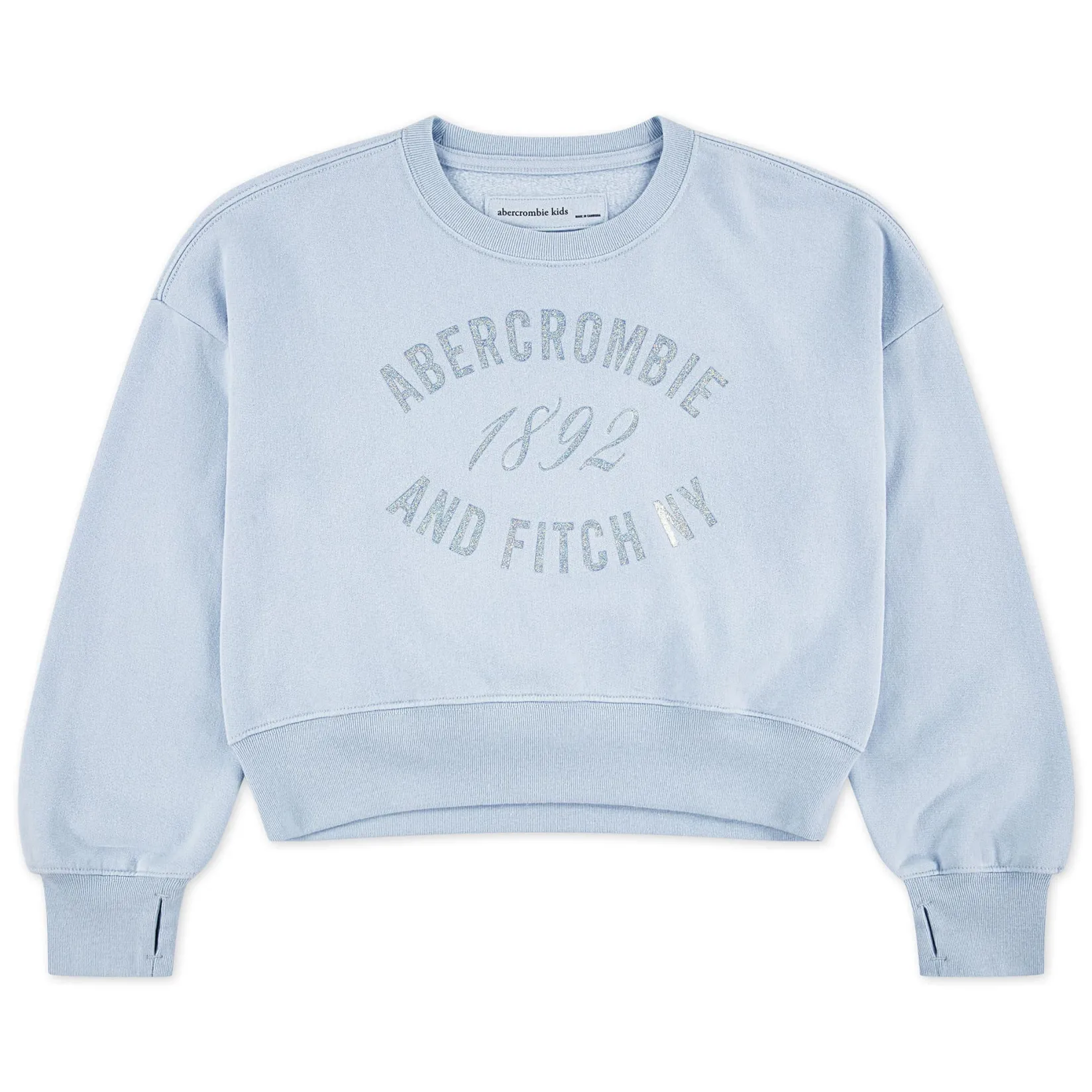 Fleeces And Sweatshirts|Tops>Abercrombie Kids Rose Bouquet Crewneck 5-18 Blue