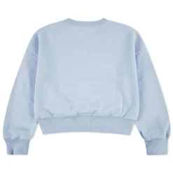 Fleeces And Sweatshirts|Tops>Abercrombie Kids Rose Bouquet Crewneck 5-18 Blue
