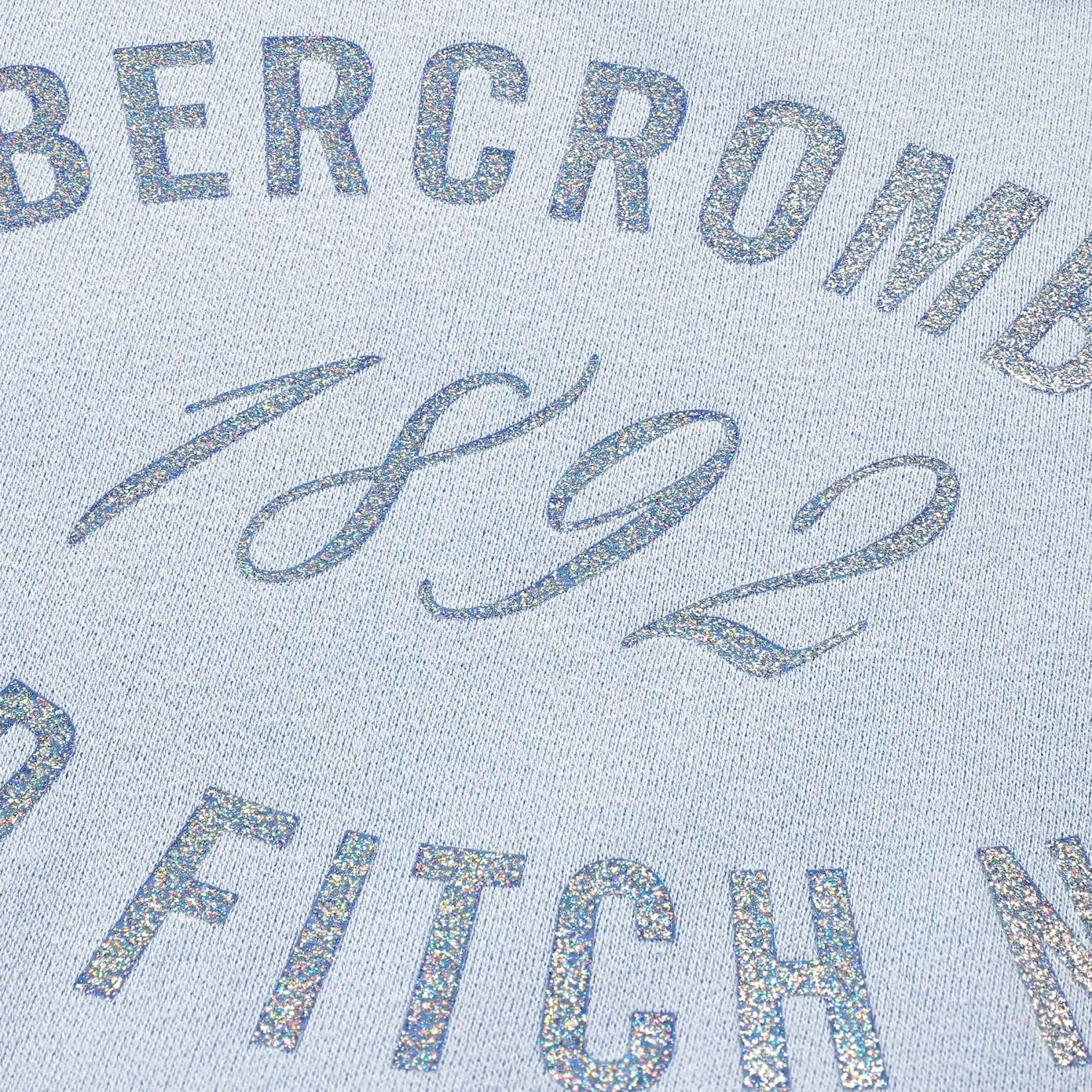 Fleeces And Sweatshirts|Tops>Abercrombie Kids Rose Bouquet Crewneck 5-18 Blue