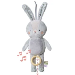 New Rylee Musical Bunny Developmental Toys