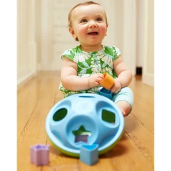 Sale Shape Sorter Developmental Toys