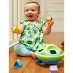 Sale Shape Sorter Developmental Toys