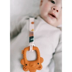 New Silicone Pacifier Clip - Canyon Sunset Pacifiers & Clips|Pacifiers & Clips