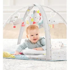 Developmental Toys|Play Mat><noscript><img width=