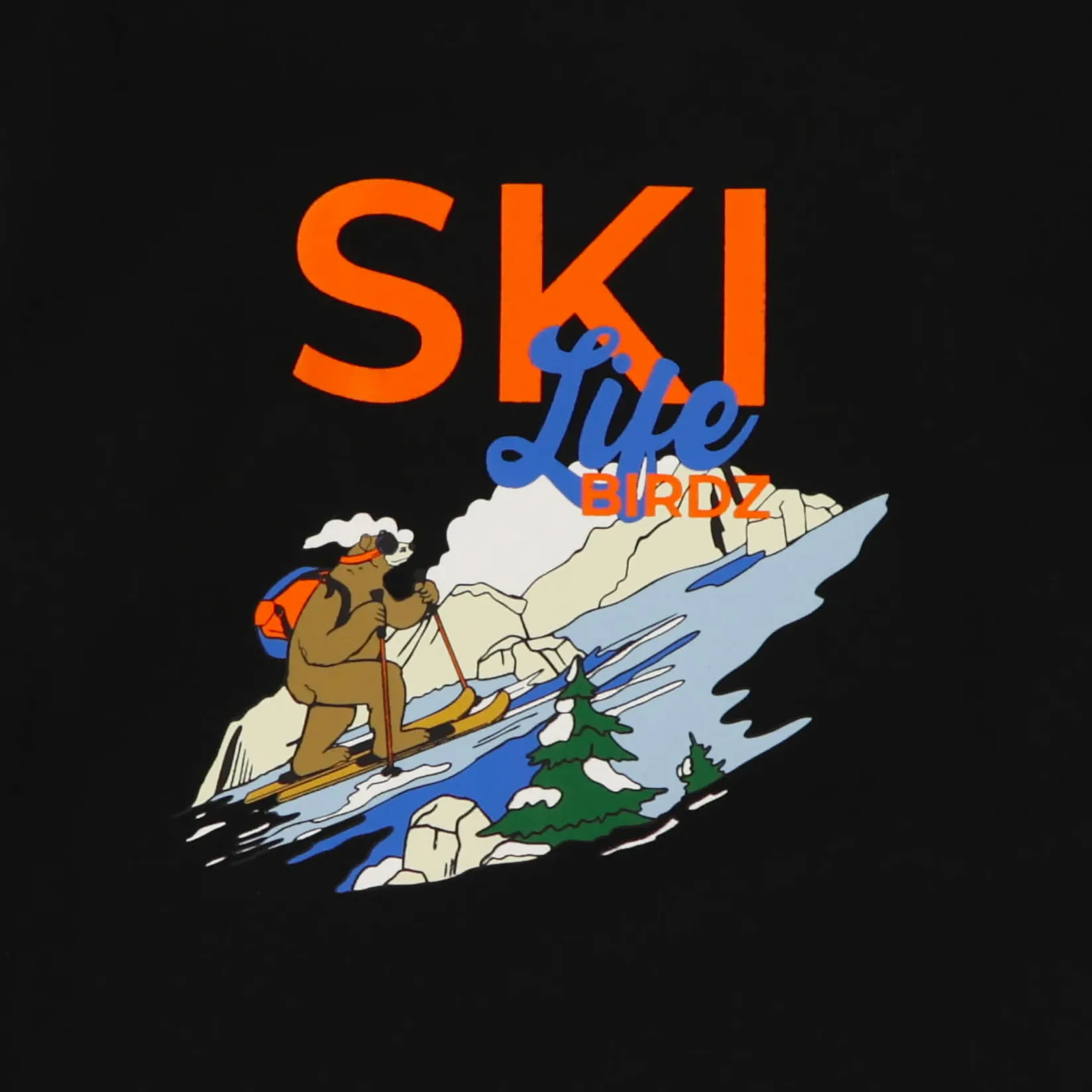 Tops>Birdz Ski Life Long Sleeve T-shirt 2-10 y Black