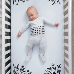 Clearance Smart Sheet One-Pack - Blue Monitors & Cameras