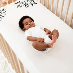 Monitors & Cameras><noscript><img width=