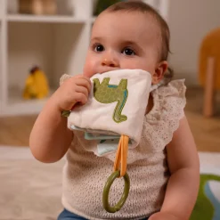 Stroller & Car Seat Toys|Developmental Toys>Little Big Friends Soft Baby Book - Dino