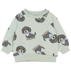 Fleeces And Sweatshirts|Tops>The New Sofus Sweatshirt 6-24m Mint
