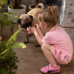 Sale Surf Dog T-shirt 2-10 Kids Tops