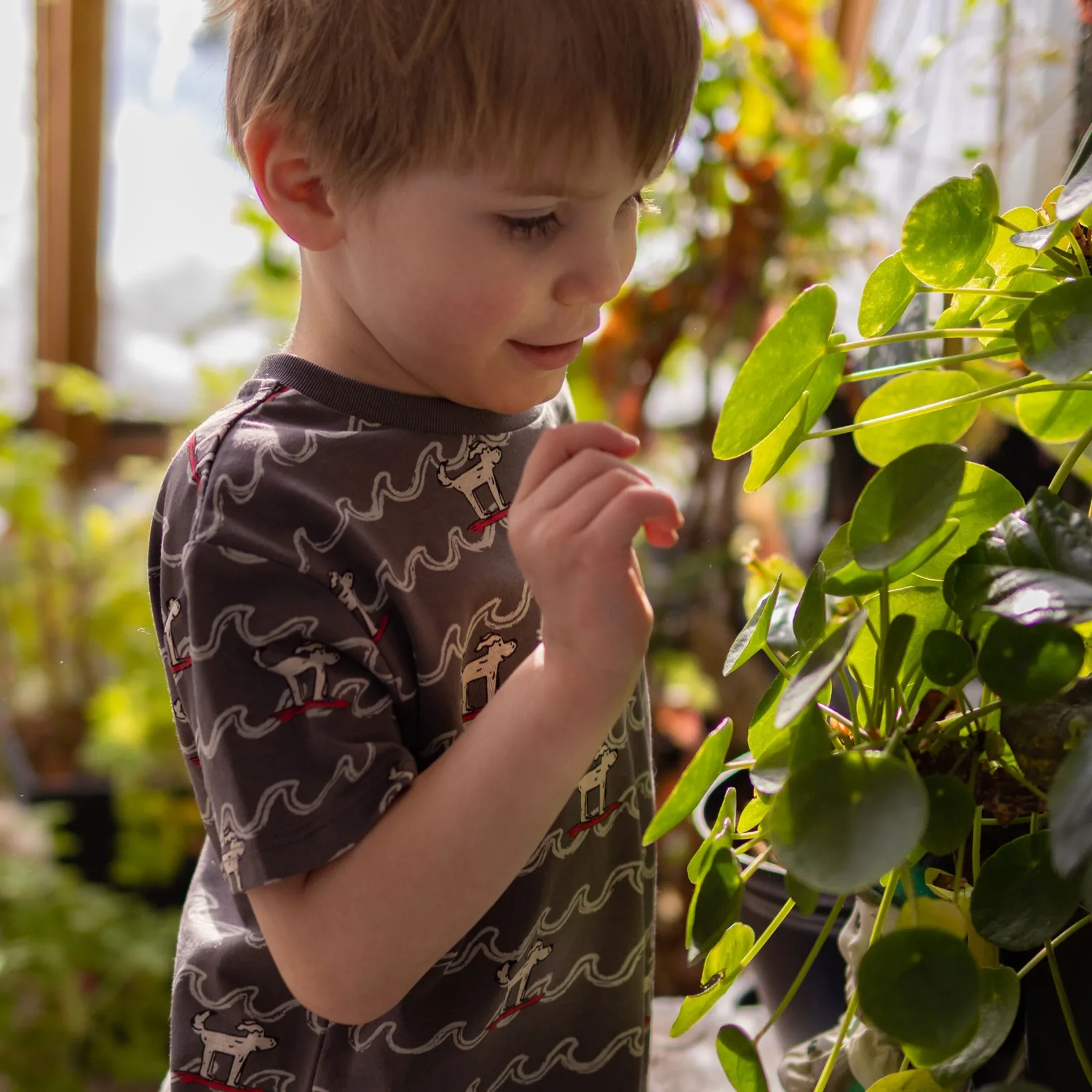 Outlet Surf Dogs T-shirt 2-8y Kids/BOY Tops