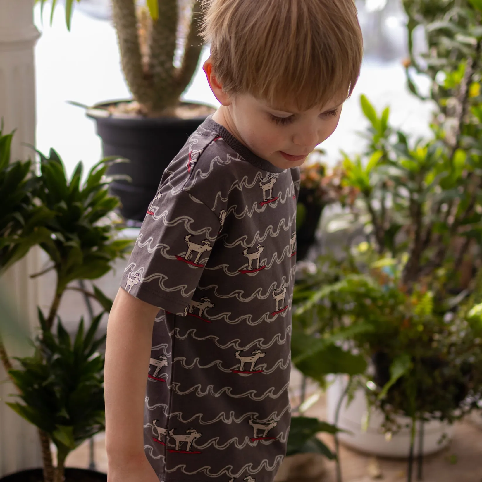 Outlet Surf Dogs T-shirt 2-8y Kids/BOY Tops