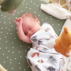 Blankets|Blankets><noscript><img width=