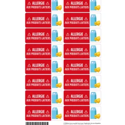 Outlet Étiquettes allergie - Produits laitiers Kids Allergy Stickers|Personalized Name Labels