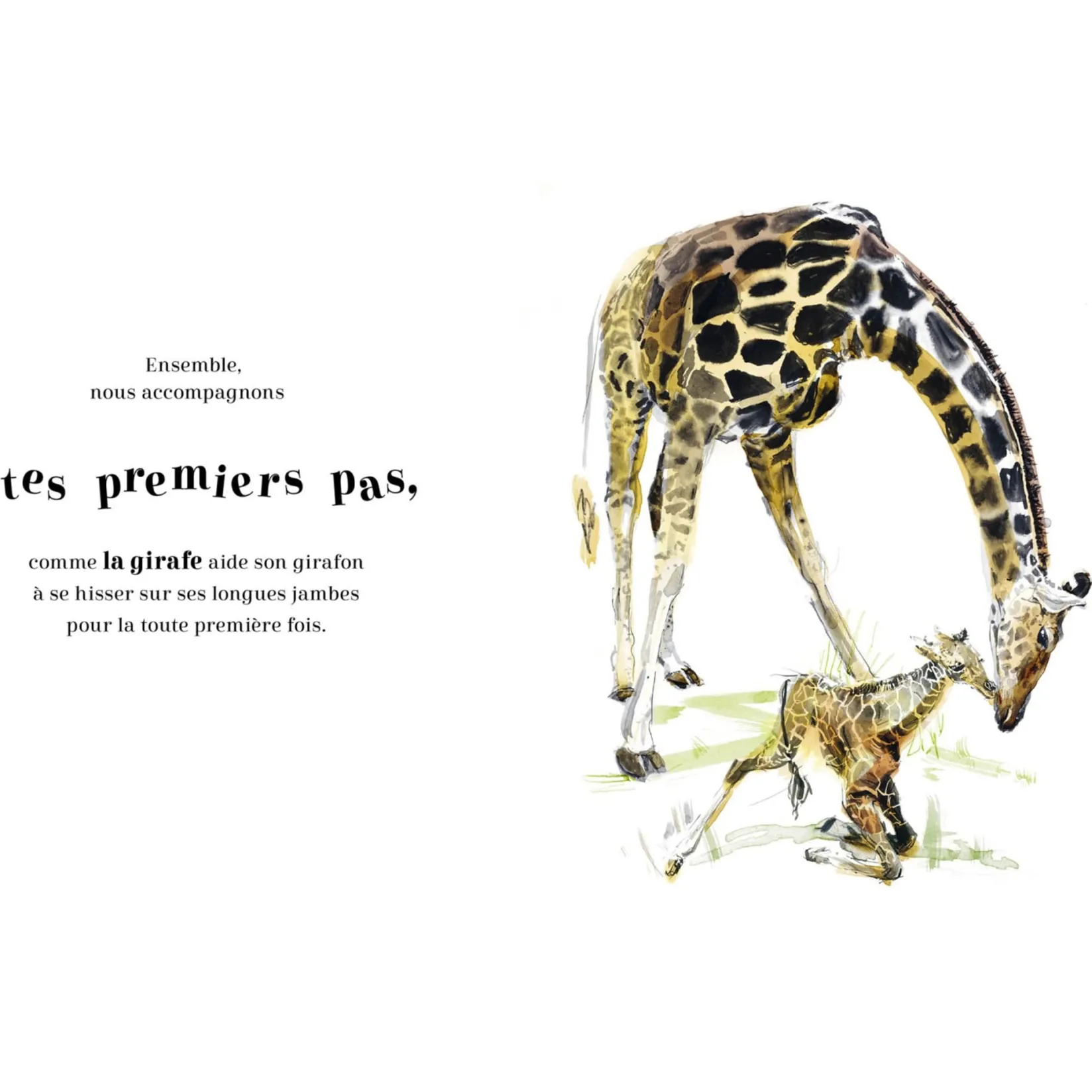 4 Years And Over|2 Years And Over>Auzou Toujours Ensemble