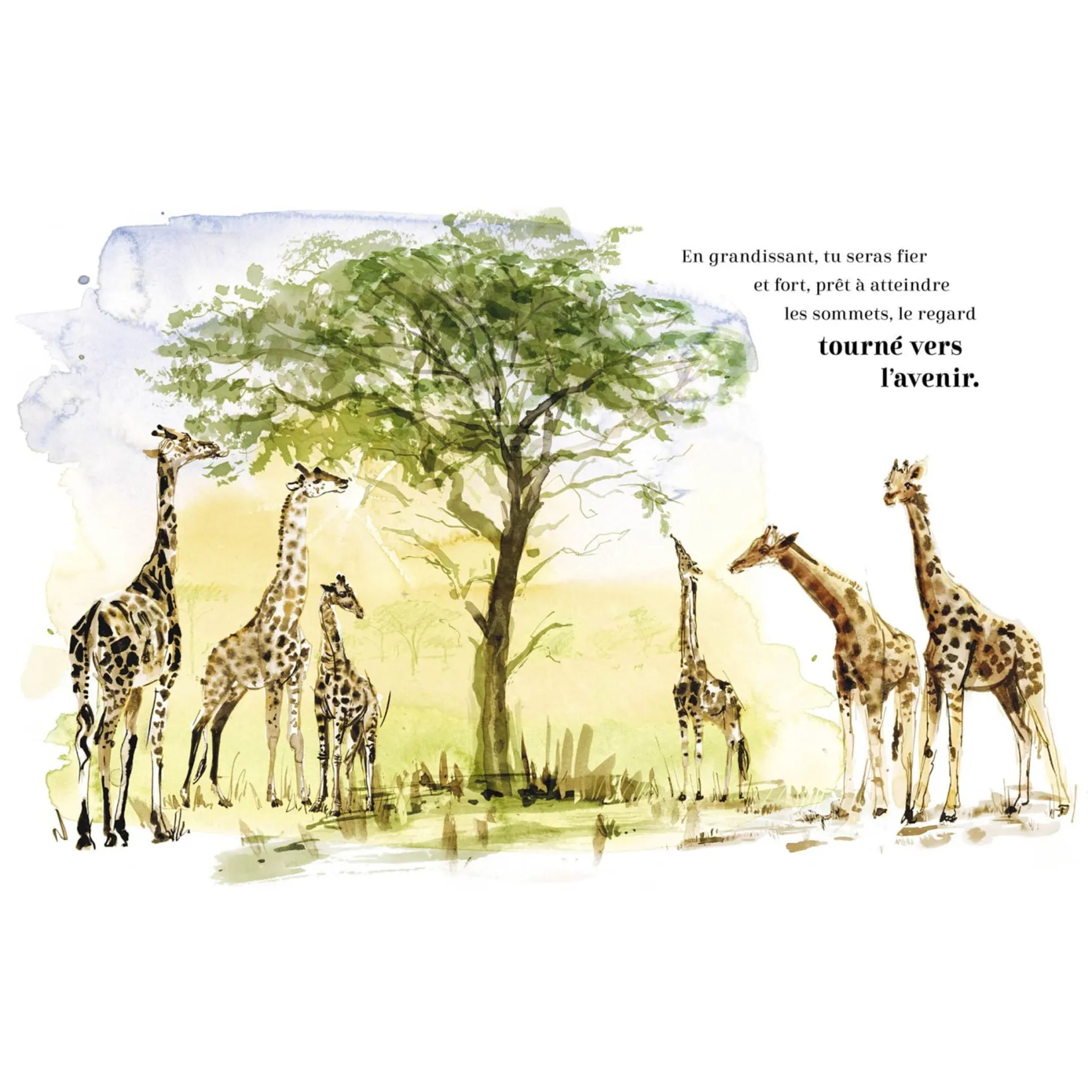 4 Years And Over|2 Years And Over>Auzou Toujours Ensemble