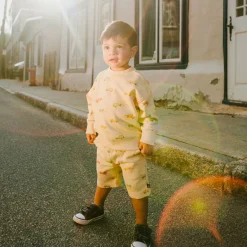 New Trail Safari Sweatshirt 3-6 Kids/BOY Fleeces And Sweatshirts|Tops