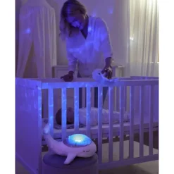 Decorative Objects><noscript><img width=