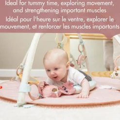 Developmental Toys|Play Mat>Tiny Love Unicorn Developmental Gymini