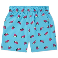 Swimsuits>Abercrombie Kids Watermelon Swim Short 5-18y Turquoise