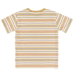 Tops><noscript><img width=