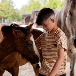 Tops><noscript><img width=