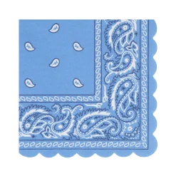 Western Small Napkins (16) Party Supplies