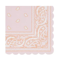 Western Small Napkins (16) Party Supplies