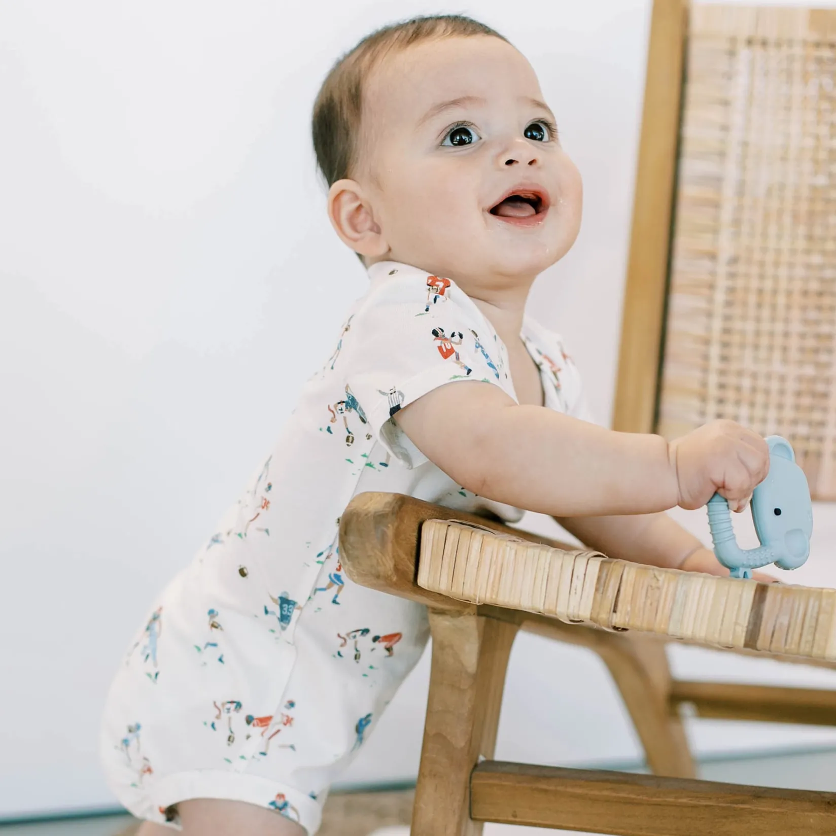 New Wild Teether - Elephant Teething Toys