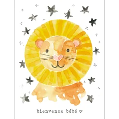 Outlet Wish Card Bienvenue Bébé Greeting Cards|Party Supplies